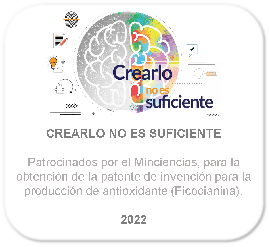 CREARLO 2022