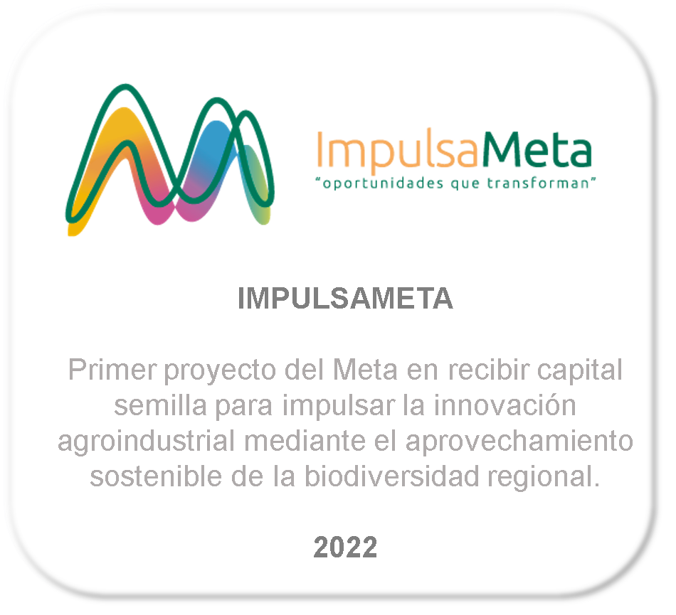 impulsameta